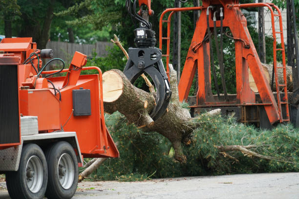 Best Lawn Watering Services  in Newport, AR